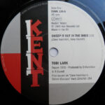 Tobi Lark/Dottie & Millie - Sweep It Out In The Shed/Nothing In This World