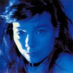 BJORK - TELEGRAM Vinyl Record