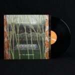 CATENARY WIRES THE - TIL THE MORNING Vinyl Record