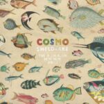 COSMO SHELDRAKE - THE MUCH MUCH HOW HOW AND I Vinyl Record