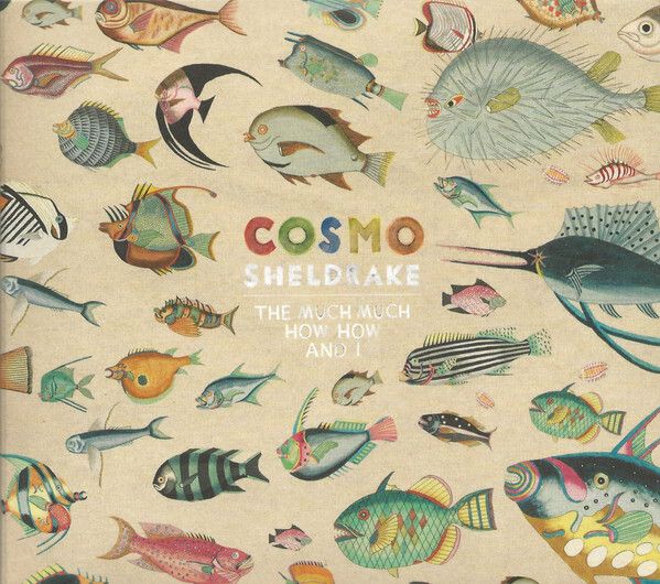 TRANS319X.jpg COSMO SHELDRAKE - THE MUCH MUCH HOW HOW AND I Vinyl Record - Image 1