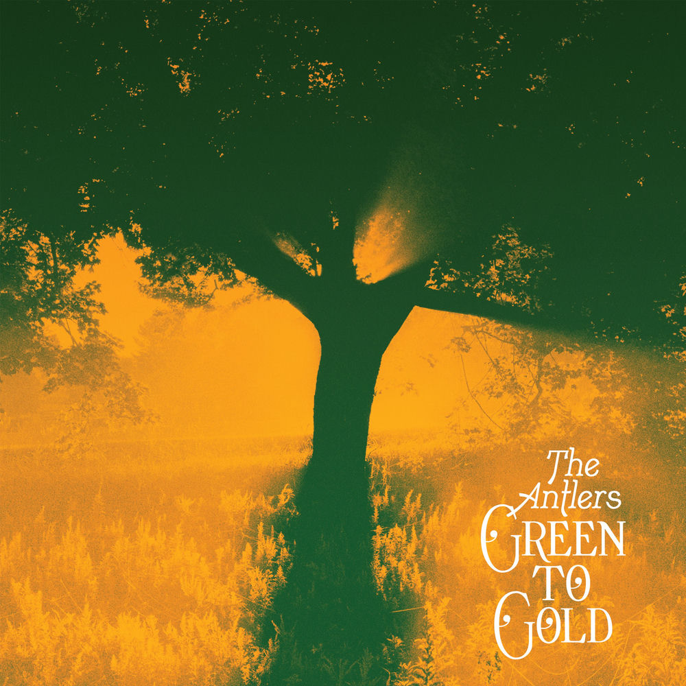 TRANS516X.jpg THE ANTLERS - GREEN TO GOLD - Image 1