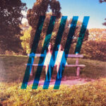 STEVEN WILSON - 4.5