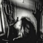 BEHIND THE SHADOW DROPS - H A R M O N I C Vinyl Record
