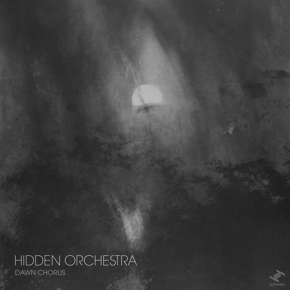 TRULP343X.jpg Hidden Orchestra - Dawn Chorus - Image 1