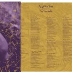 BRIGID MAE POWER - THE TWO WORLDS Vinyl Record