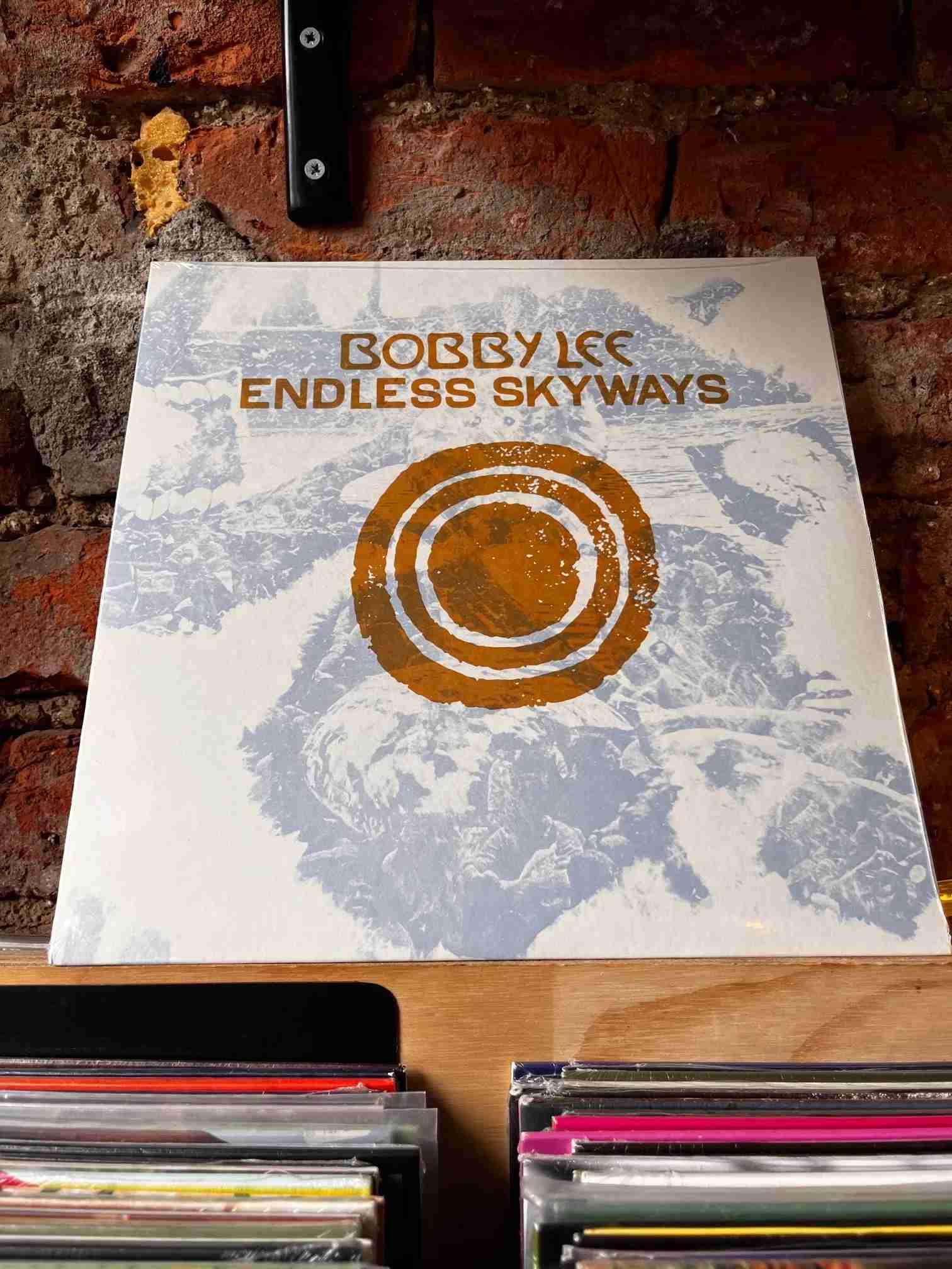 TSQ5937.jpg BOBBY LEE - ENDLESS SKYWAYS Vinyl Record - Image 1