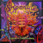 SHPONGLE - MUSEUM OF CONSCIOUSNESS