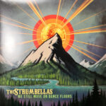 STRUMBELLASTHE - WE STILL MOVE ON DANCE FLOORS