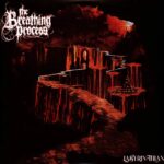 BREATHING PROCESSTHE - LABYRINTHIAN Vinyl Record