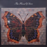 HOUSE OF LOVE - THE HOUSE OF LOVE