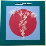 BLACKBERRIES - VORWARTS RACKWARTS Vinyl Record