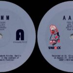 AAMM - A???TRIO & AMM Vinyl Record