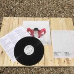 APOSTILLE - CHOOSE LIFE Vinyl Record