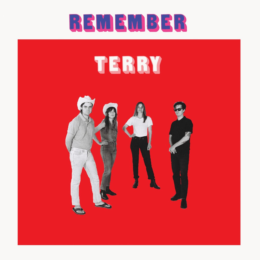 UTR097LP.jpg TERRY - REMEMBER TERRY - Image 1