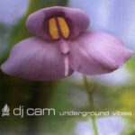 DJ CAM - UNDERGROUND VIBES