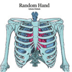 RANDOM HAND - INHALE/EXHALE