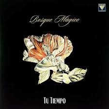 V107303.jpg BOSQUE MAGICO - TU TIEMPO Vinyl Record - Image 1