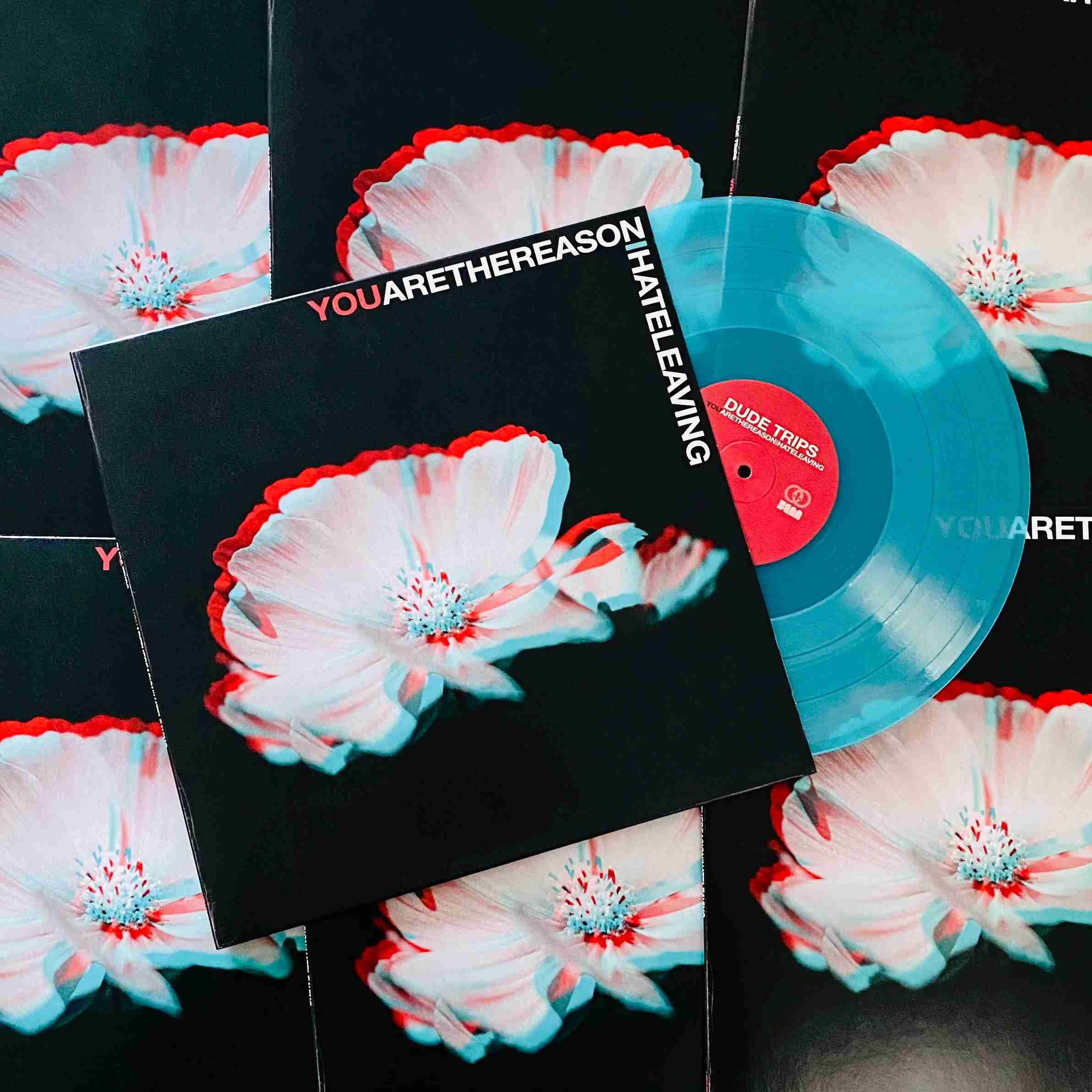 VENNLP069.jpg AERIAL SALAD - R.O.I Vinyl Record - Image 1
