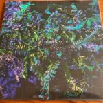 BEN FROST - BROKEN SPECTRE Vinyl Record