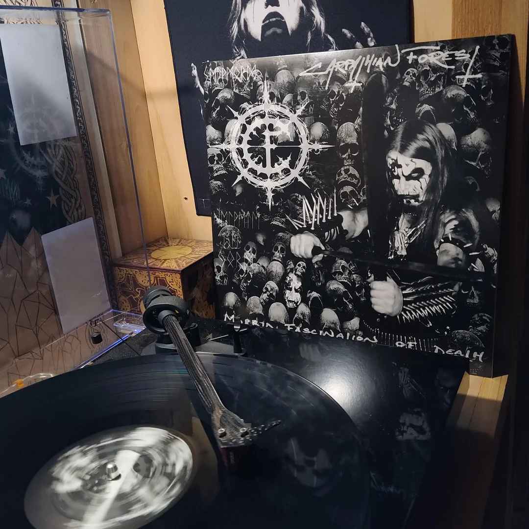 VILELP1107.jpg CARPATHIAN FOREST - Morbid Fascination Of Death Vinyl Record - Image 1