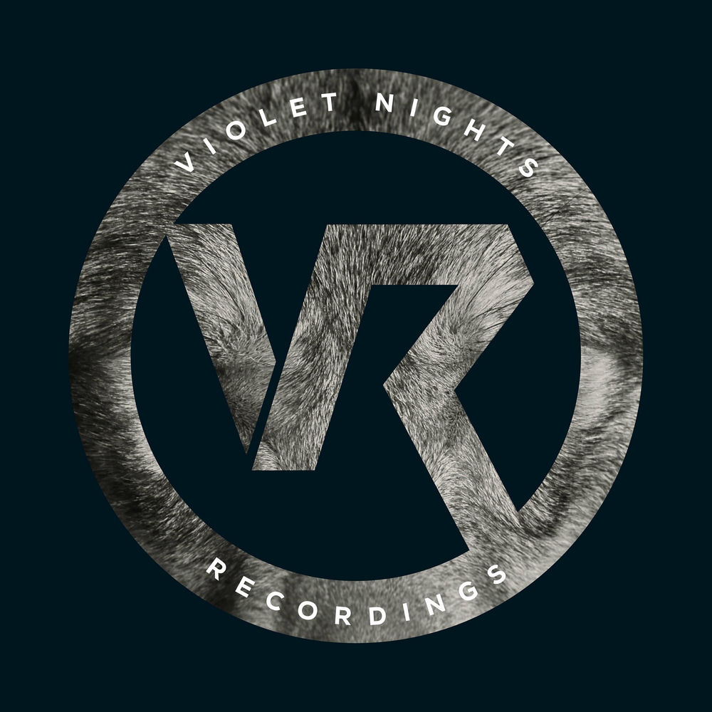 VNR009B.jpg DJ FLASH / CHIPPIE - VAGABOND / BIG GREY WOLF (VIP) - Image 1