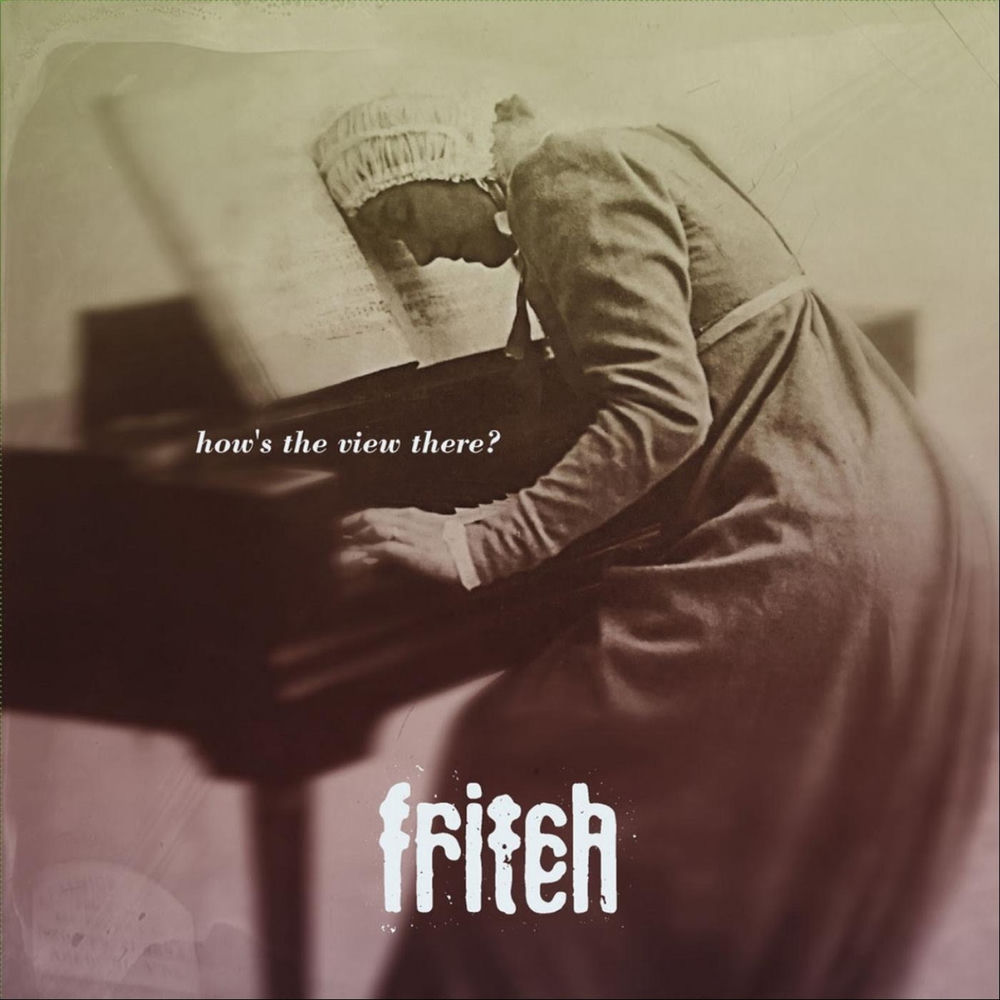 VOX54LP.jpg FRITCH - Hows The View There? - Image 1