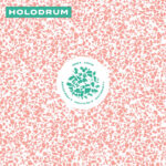 HOLODRUM - HOLODRUM