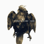 THE HUNDRED IN THE HANDS - PIGEONS