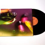 BUSH TETRAS - TAKE THE FALL Vinyl Record