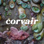 CORVAIR - CORVAIR Vinyl Record