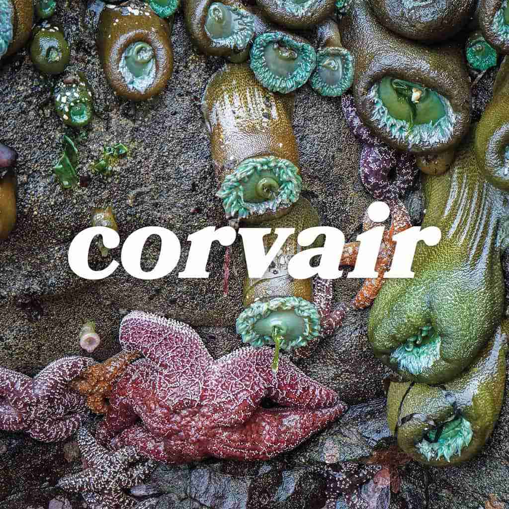 WIA092LP.jpg CORVAIR - CORVAIR Vinyl Record - Image 1