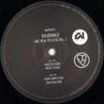 Rognvald - The New Selecta, Vol. 2
