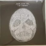 BONNIE "PRINCE" BILLY - I SEE A DARKNESS Vinyl Record