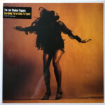 THE LAST SHADOW PUPPETS - EVERYTHING YOU'VE COME TO EXPECT