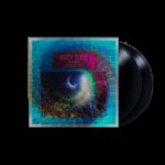 AVEY TARE - EUCALYPTUS Vinyl Record