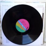 BONNIE "PRINCE" BILLY - WOLF OF THE COSMOS Vinyl Record