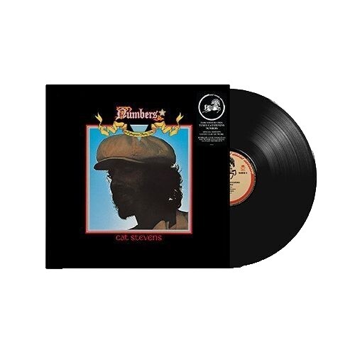 WIGLP435.jpg CAT POWER - WANDERER Vinyl Record - Image 1