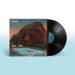VILLAGERS - FEVER DREAMS Vinyl Record