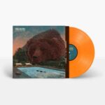 VILLAGERS - FEVER DREAMS Vinyl Record
