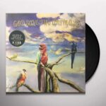ALEX G - GOD SAVE THE ANIMALS Vinyl Record