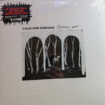 THESE NEW PURITANS - CROOKED WING