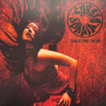 SORAIA - SHED THE SKIN