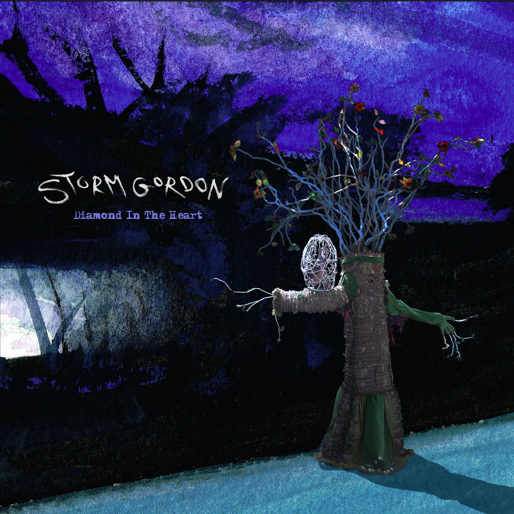 WLUSTVTS3.jpg STORM GORDON - DIAMOND IN THE HEART - Image 1