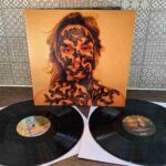 ALICE ZAWADZKI - WITHIN YOU IS A WORLD OF SPRIN Vinyl Record