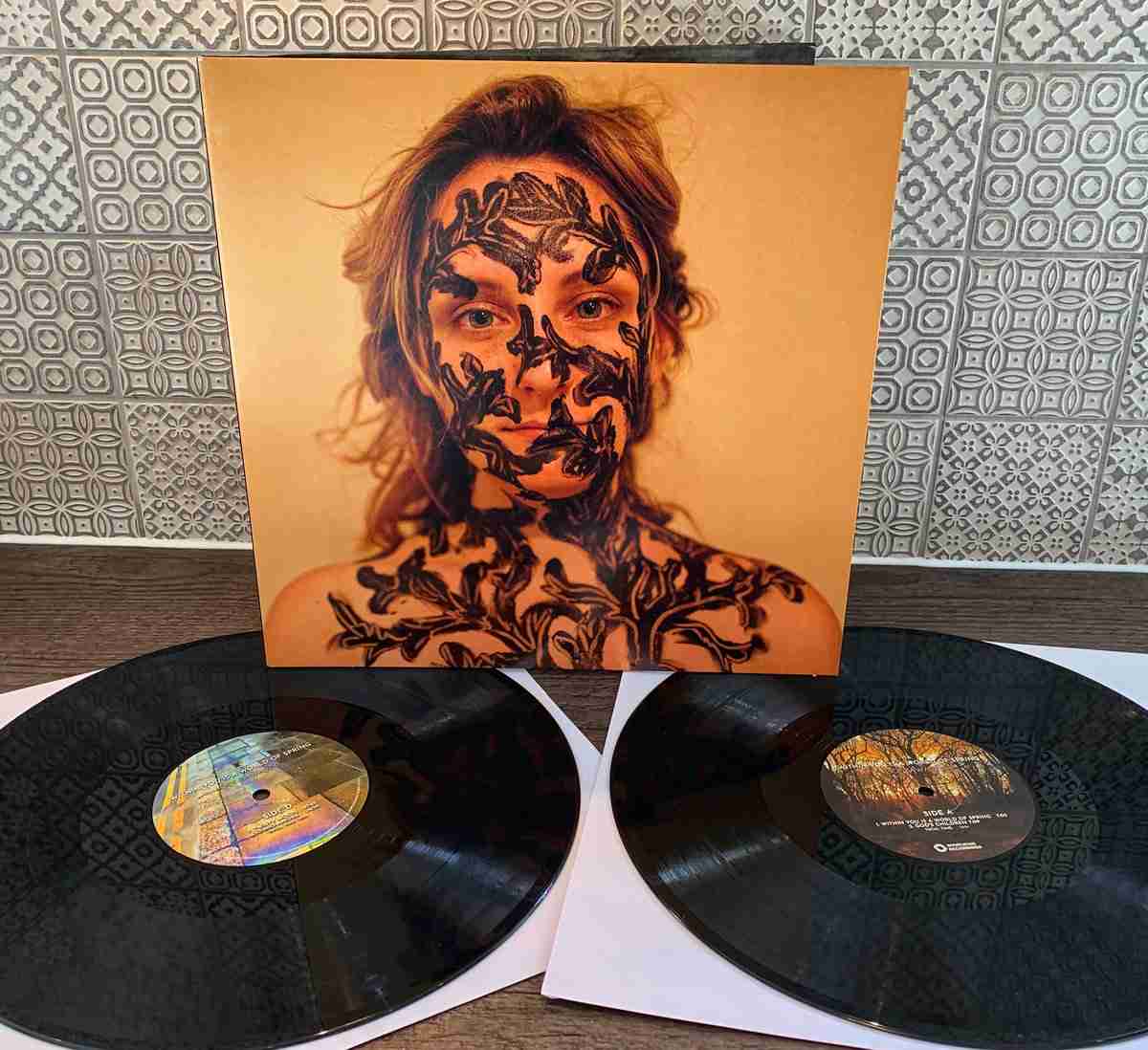 WR4746LP.jpg ALICE ZAWADZKI - WITHIN YOU IS A WORLD OF SPRIN Vinyl Record - Image 1