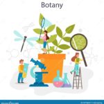 BOTANY - END THE SUMMERTIME F(OR)EVER Vinyl Record