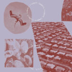 RINDERT LAMMERS - THANK YOU KIRIN KIKI