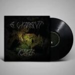 Aleksandra S?Çy?º - A Vibrant Touch Vinyl Record