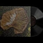 Adela Mede - Ne L?©pj a Vir?°gra Vinyl Record